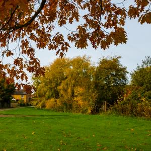 Caters Road from the Village Green