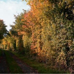 Autumn in Suffolk